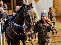 Race 5 - The Southern Grand national (9 of 96).jpg