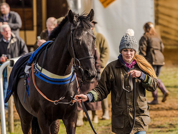 Race 5 - The Southern Grand national (9 of 96).jpg