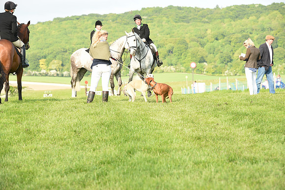 Race 7 - Div 1 - Open Maiden (23 of 94).jpg
