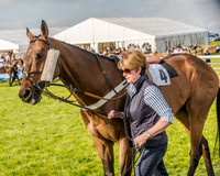 Race 6 - Open Maiden Race (2 of 176).jpg