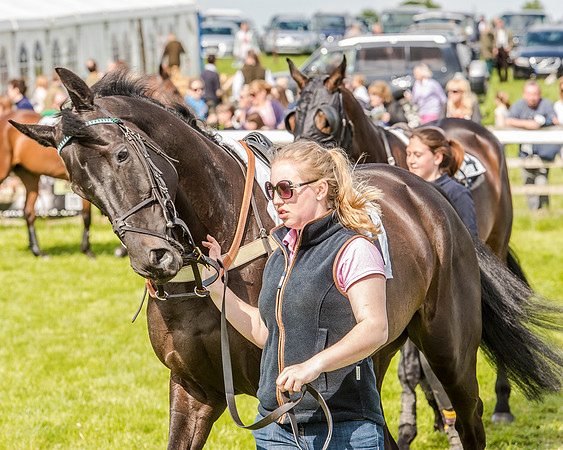 Race 4 - PPORA Novice Riders (26 of 196).jpg