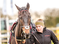 Race 6 - Open Maiden (14 of 96).jpg