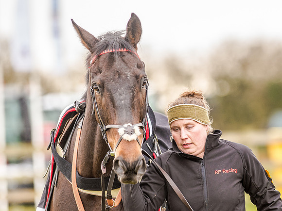 Race 6 - Open Maiden (14 of 96).jpg