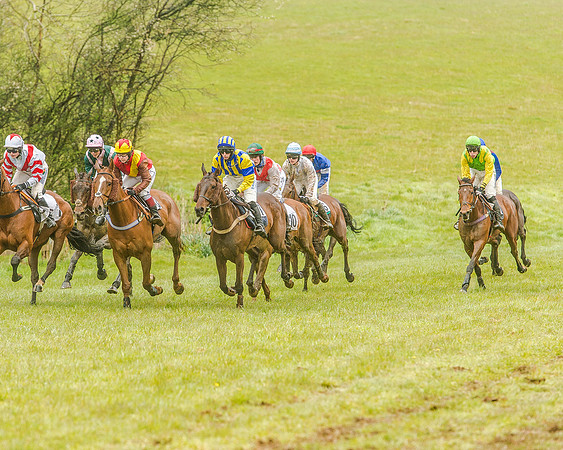 Race 5 - Restricted Race (75 of 146).jpg
