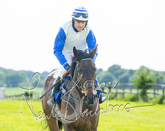 Race 5  - Maiden race 2m5F Div-1 (56 of 197)