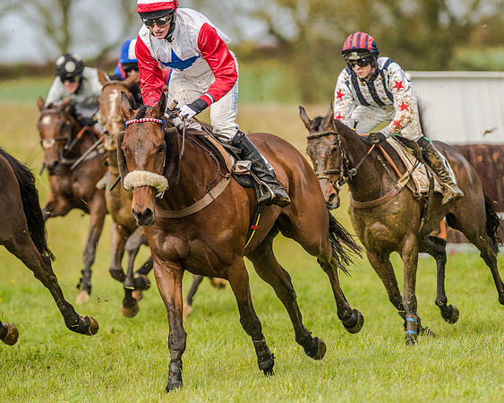 Race 5 - Open Maiden (103 of 147).jpg
