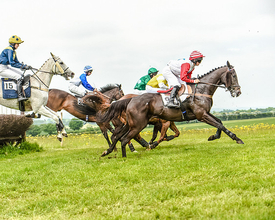 Race 2 - PPORA Members Novice Riders  (56 of 112).jpg