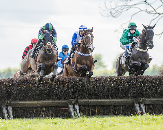 Race 4 - PPORA Novice Riders (85 of 196).jpg