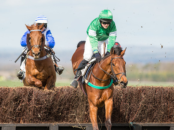 Race 2 - Confined Hunts Race (37 of 87).jpg