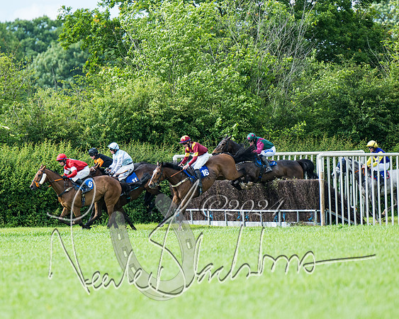 Race 5 - Restricted Race (259 of 434)