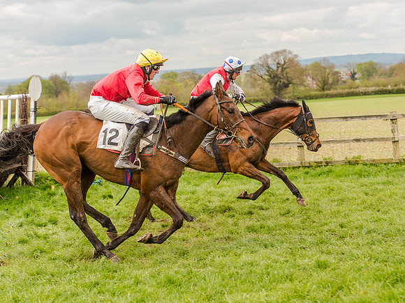 Race 1 - Confined Hunts (98 of 118).jpg