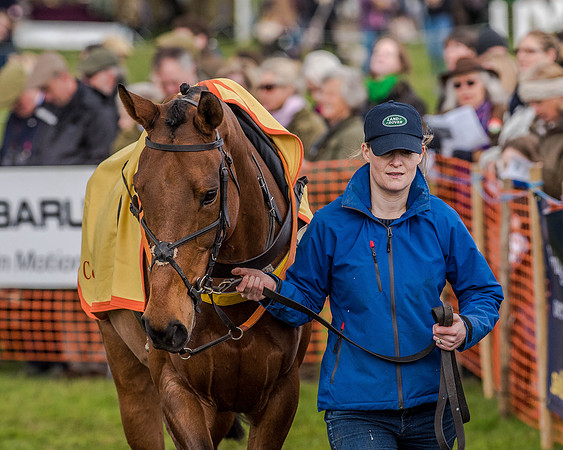 Race 1 - Intermediate (8 of 125).jpg