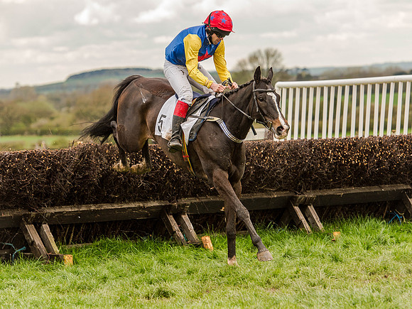 Race 2 - PPORA Club Members Conditions 2m5f (93 of 137).jpg