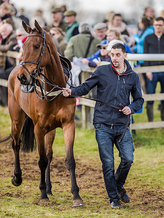 Race 3 - PPORA Club Members Novice Riders (9 of 75).jpg