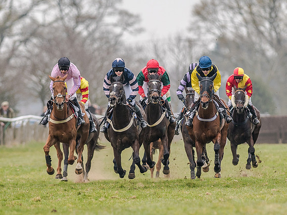 Race 5 - Open Maiden Division 1  (41 of 90).jpg