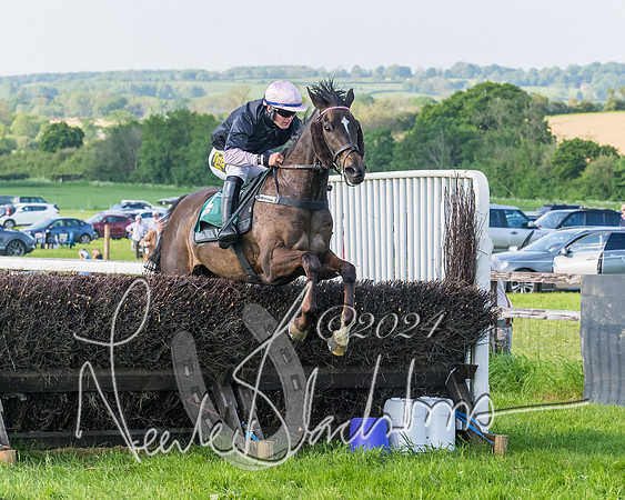 Race 7 - Veteran Horse (161 of 246)