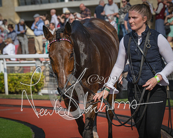 Race 1 - The Bottle Green Open Hunters steeplechase 2m62y (84 of 93)