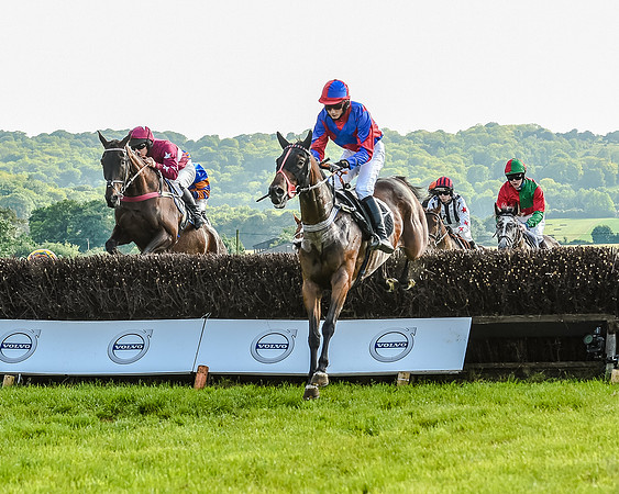 Race 7 - Div 1 - Open Maiden (32 of 94).jpg