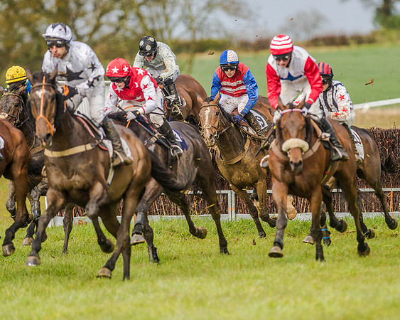 Race 5 - Open Maiden (99 of 147).jpg