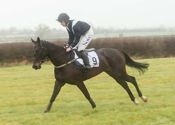 Race 1 - Confined Hunts (30 of 101).jpg