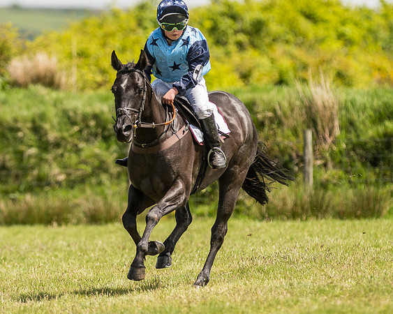 Pony Race 2  (22 of 33).jpg