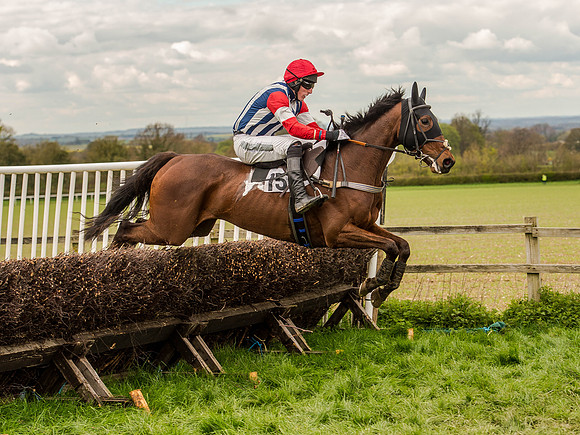 Race 3 - Young Horse maiden 2m5f (73 of 124).jpg