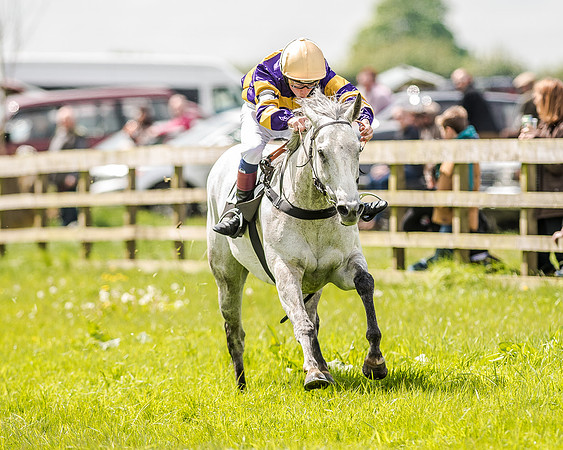 Pony Race 3 (34 of 56).jpg