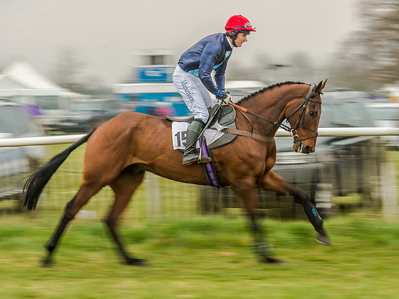 Race 5 - Open Maiden Division 2 (43 of 112).jpg
