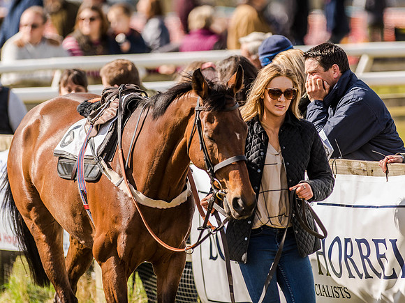 Race 4 - Ladies Open [Nov-Vet] (9 of 82).jpg