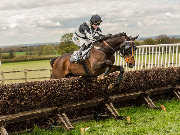 Race 3 - Young Horse maiden 2m5f (77 of 124).jpg