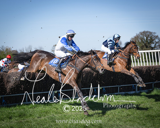 Race 6 - Veteran horse (78 of 109)