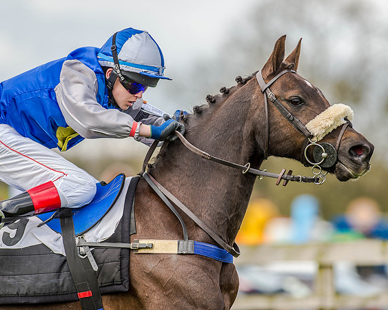Pony Race 2 (69 of 77).jpg