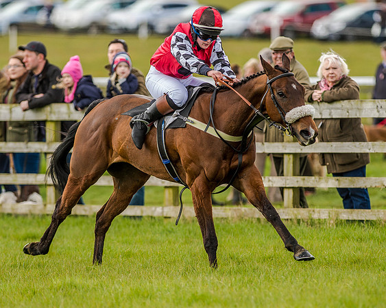 Pony Race 3 (38 of 78).jpg