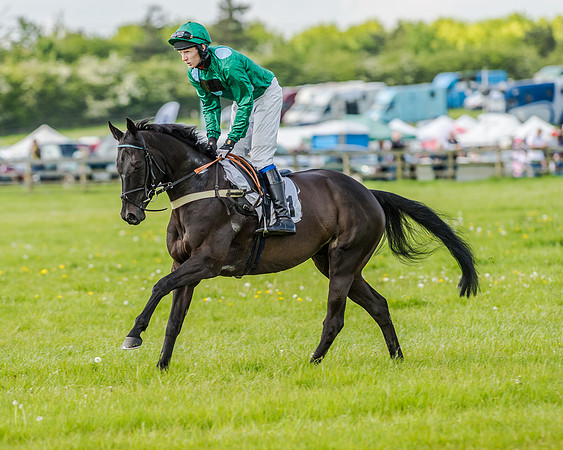 Race 4 - PPORA Novice Riders (62 of 196).jpg