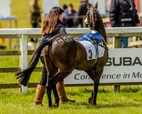 Pony Race 1  (16 of 65).jpg