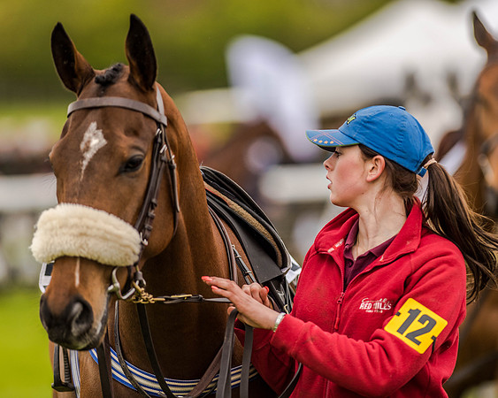 Race 2 - Open Maiden  (15 of 170).jpg