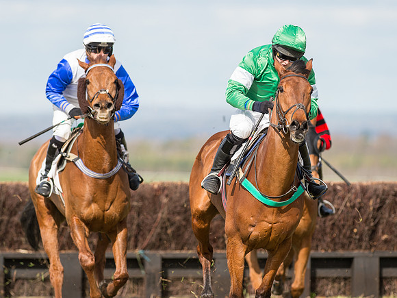 Race 2 - Confined Hunts Race (43 of 87).jpg