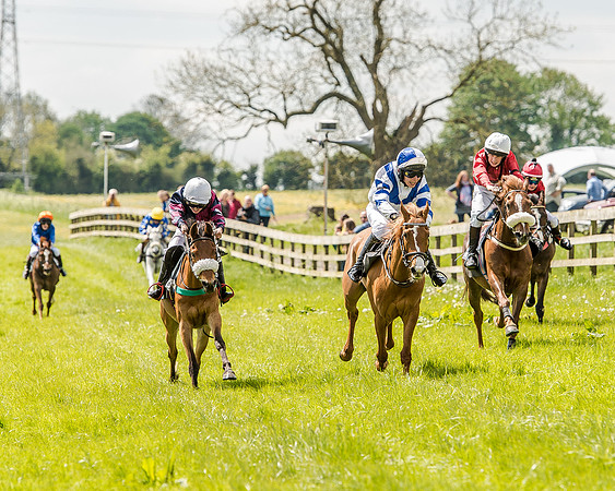 Pony Race 2 (44 of 57).jpg