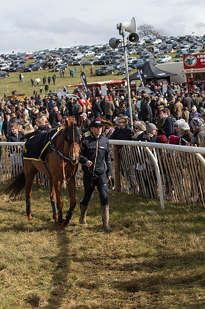 Race 4 - Novice and Veteran Riders race (5 of 46).jpg
