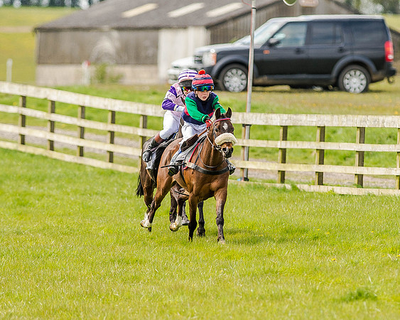 Pony Race 1  (29 of 65).jpg