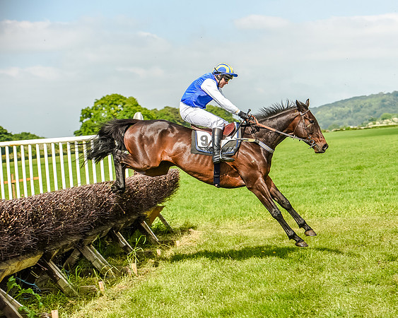 Race 3 - The Intermediate Race (53 of 97).jpg