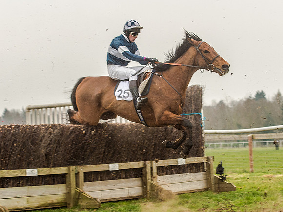 Race 5 - Open Maiden Division 2 (82 of 112).jpg