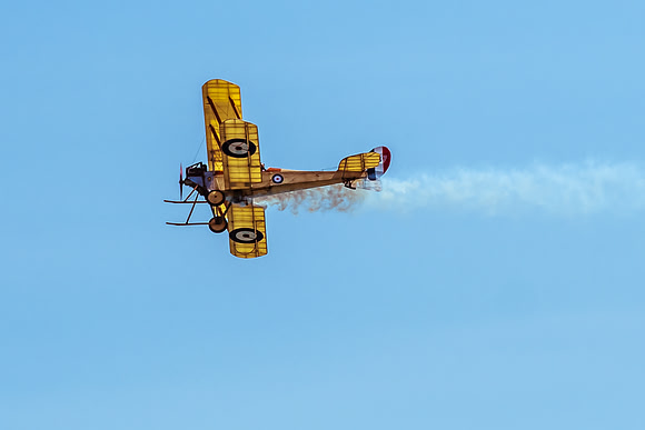 Great War Display Team (6 of 22)