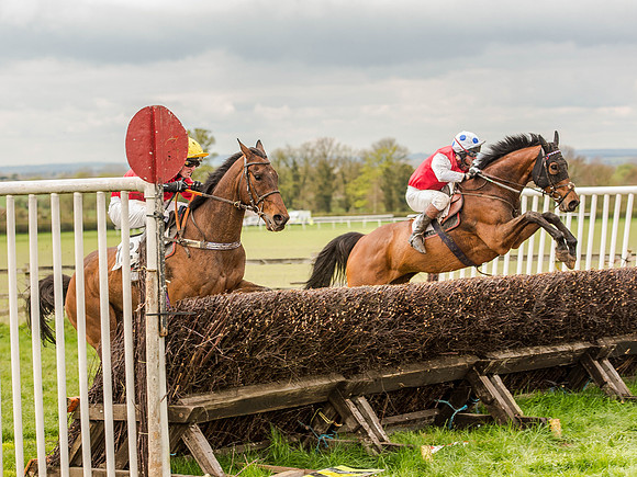 Race 1 - Confined Hunts (90 of 118).jpg