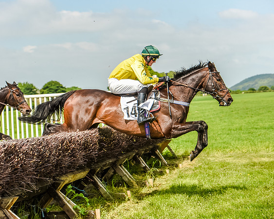 Race 3 - The Intermediate Race (48 of 97).jpg