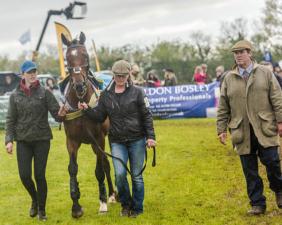 Race 5 - Open Maiden (11 of 147).jpg