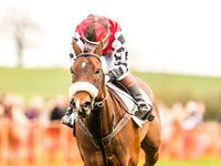 Pytchley Pony Races (107 of 167).jpg