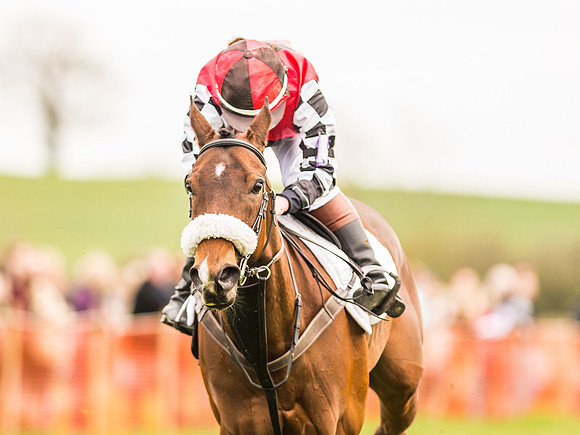 Pytchley Pony Races (107 of 167).jpg