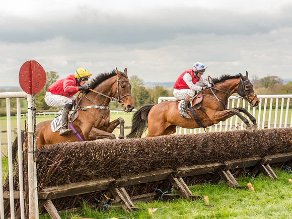 Race 1 - Confined Hunts (91 of 118).jpg