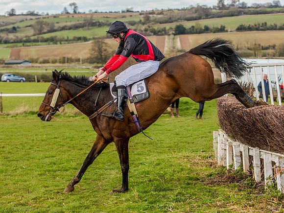 Race 6 - The Restricted Race [Nov-Vet] (52 of 84).jpg